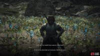 Return to Beren at Moonglow Garden to hear the bad news,