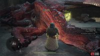 Once the beast is defeated you can explore Dragonsbreath Tower in relative peace.
