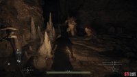 The southern half of the Cavern of the Forsaken is occupied by saurians.