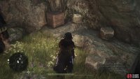 Take some stairs down to reach a cliff overlooking the river. Turn left and you’ll see some rocks.