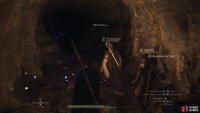 Follow the glowing flowers (only visible at night) inside the cave.