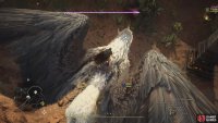 You can climb on the back of a Griffin and slash/stab at its back and wings to inflict more damage.