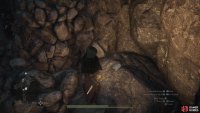 Search a rock east of the ladder on the lower level to find another Seeker’s Token.