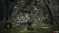 while if you ascend you’ll find venin harpies and their nests.