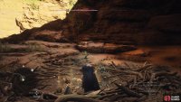 You’ll find some extra gold and gems that can be looted from the Griffin’s nest.