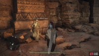 You need to carry Ser Maurits to a place where there’s open sky above, then use the Ferrystone to the Frontier Shrine. 