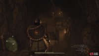 Observe the swinging rocks before you attempt to jump to the stationary platform on the left.