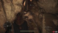 You’ll need to escort Zoran out of the cave, but he’s quite fragile - take it slow and don’t let Saurians near him or attempt to pick him up, lest he succumb to his wounds.