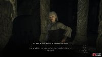 Without a translator, you won’t be able to decipher the elven language spoken at Sacred Arbor.