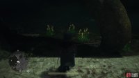 You can find Sunbloom (yellow) flowers outside of The Arborheart,