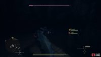 Be sure to have a healer on standby, as you will probably get flung at least once or twice.