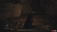 The Peltflayers Daggers will be in a chest at the end of the northern tunnel.