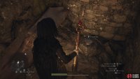 Look left of the now-fallen Cyclops, and you should find a small gap between two walls for a Seeker’s Token.