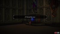 the Blue Lens will allow you to unlock blue doors.