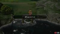 Each fishing spot has different species of fish for you to collect.