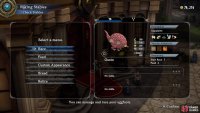 The racer’s screen shows its stats, as well as how many times you can feed/race them.