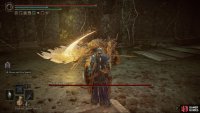 Here, you’ll find the boss Jori, Elder Inquisitor. The Abyssal Woods are the location after you defeat him.