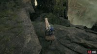 Head to the back of Shaman Village and drop onto the platforms.