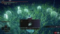 to find the seventh Larval Tear.