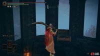 to find the Milady in the chest at the top of the tower.