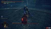 and defeat Rellana Twin Blade to claim her weapon.