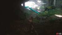 Take the left path after exiting the cave.