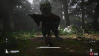  and defeat the Wandering Wight to claim its spirit