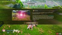 Valorflies can be grabbed to double the EXP you get from battles.