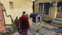 to find the action figure sitting in the dog house.
