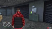 to find this action figure sitting in between two garage doors.