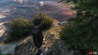 to find the peyote plant sitting on a small island. 