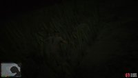 to find the peyote plant sitting on the alamo seabed.