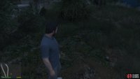 to find the peyote plant sitting by a tree on the outside of the car park. 
