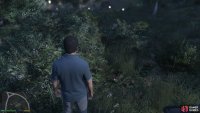 to find the peyote plant sitting by a bush.