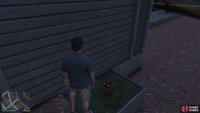 to find the peyote plant sitting on the roof.