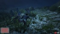 to find the peyote plant sitting on the seabed.