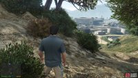 to find the peyote plant sitting by a tree.