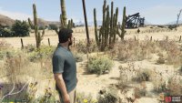 to find the peyote plant sitting by a cactus. 
