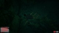 to find the peyote plant sitting on the seabed.