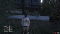 to find the peyote plant sitting by the fence. 