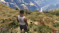 to find the peyote plant sitting on a detached rock. 
