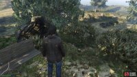 to find the peyote plant sitting by a bench. 