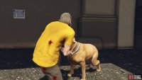 then chase the dog and collect it’s collar.