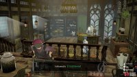 The 24th Gold Beetle is located in Martira’s General Store, by examining the bag opposite the counter.