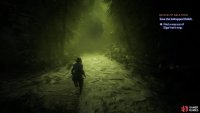 Exhaust your options exploring Elgar’nan’s trap,