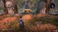 Reach the final island and ascend to where the Dread Wolf statuette is, then search the northwestern end of the island to find this chest.