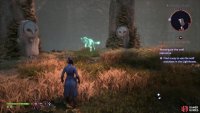 then reach the end of the area to find the Fen’Harel statuette to the north.