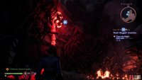 to find the third blight cyst.