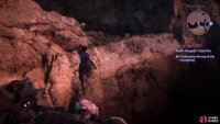 Head to the northern end of the root and jump over to a ledge to find another, smaller chest.