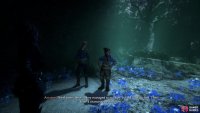 Update Antoine and Evka at the Sheltered Glade to complete the quest,